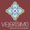 logo vejerisimo